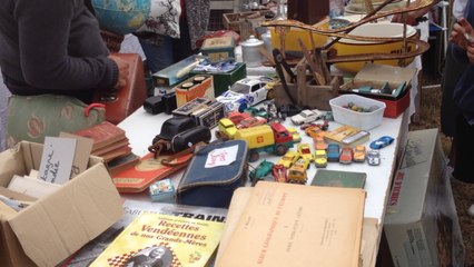 Puces ligneronnaises