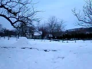 je m'amuse dans l'enclos des moutons