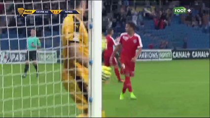 Nathaël JULAN  19th july 1996 - 1m96 (6ft5) Striker - Right footed Le Havre AC