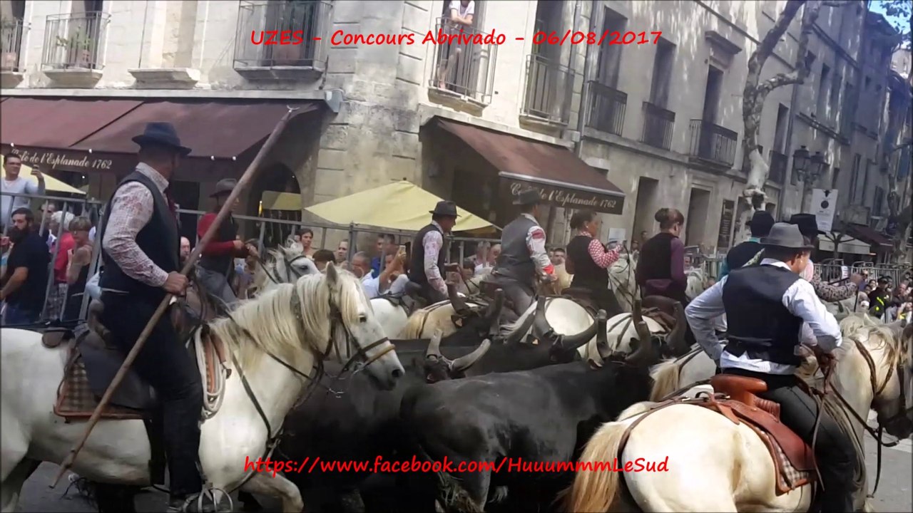 UZES-Concours d'Abrivado-06/08/2017