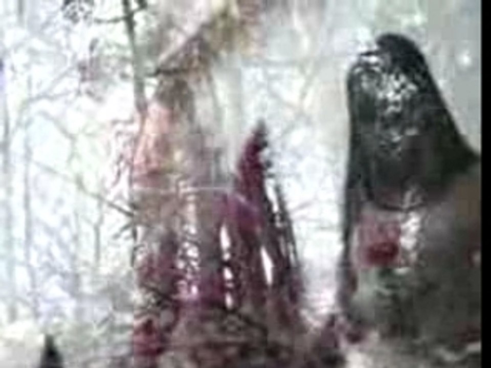 Mobile_VTS_01_1_mpeg4