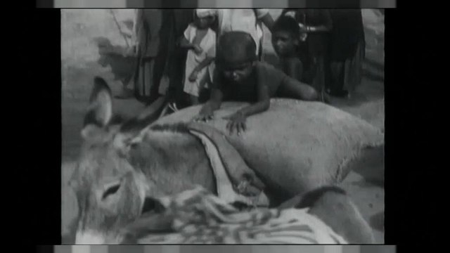 L'Inde et le Pakistan : il y a 70 ans, une partition douloureuse