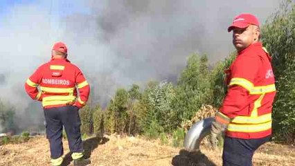 Portugal pide ayuda para afrontar su récord de incendios