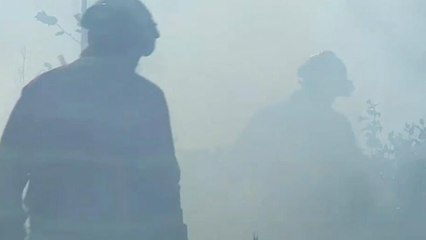 Milhares combatem as chamas