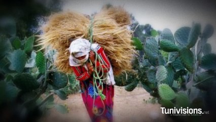 أنتم أيضا نساء بلادي