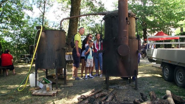 Alpes-de-Haute-Provence : la lavande, un prétexte pour faire la fête à St Geniez ce dimanche