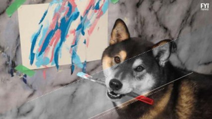 Dogs that make art on their own