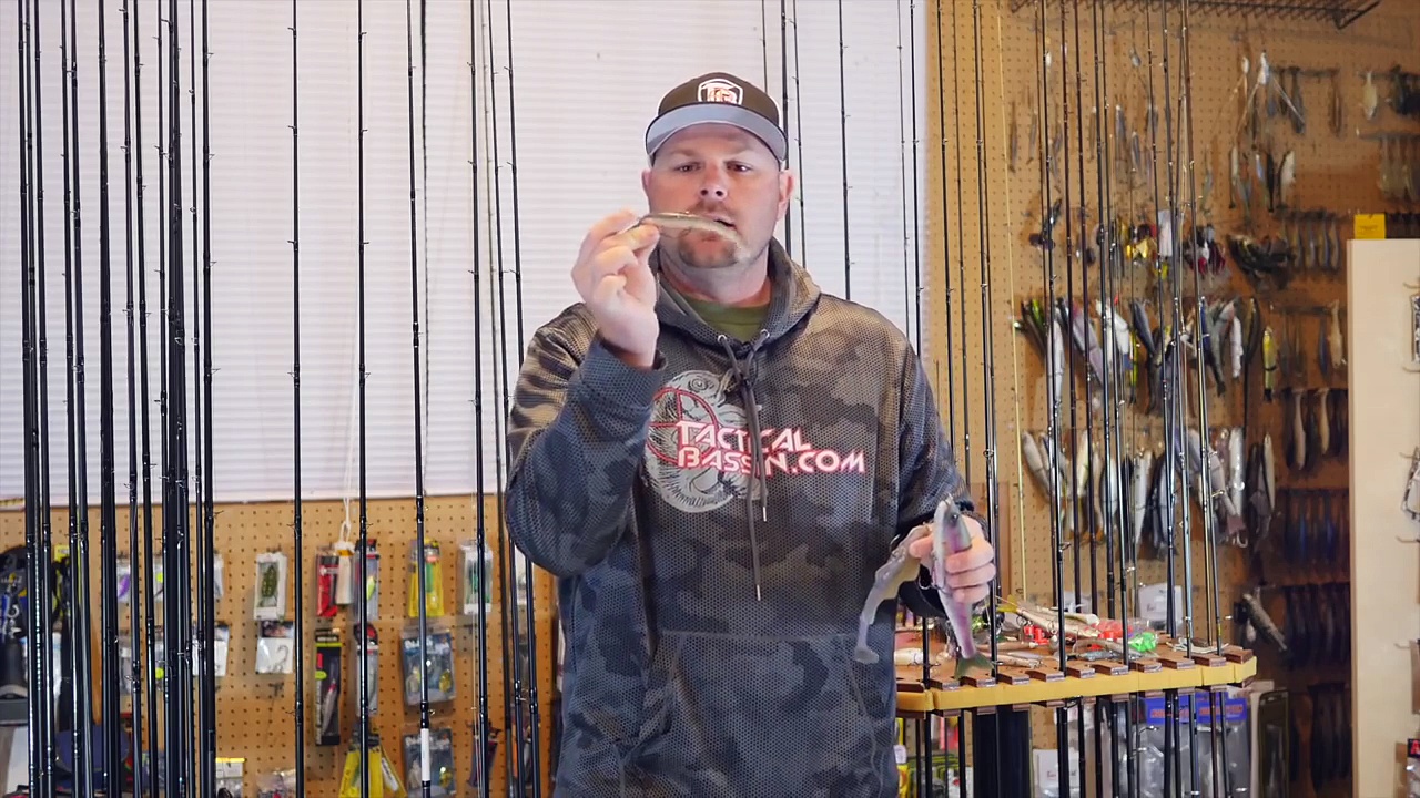 Top 5 Baits for Early Spring Bass Fishing