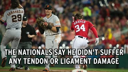 Bryce Harper Suffers Scary Knee Injury After Wild Slip