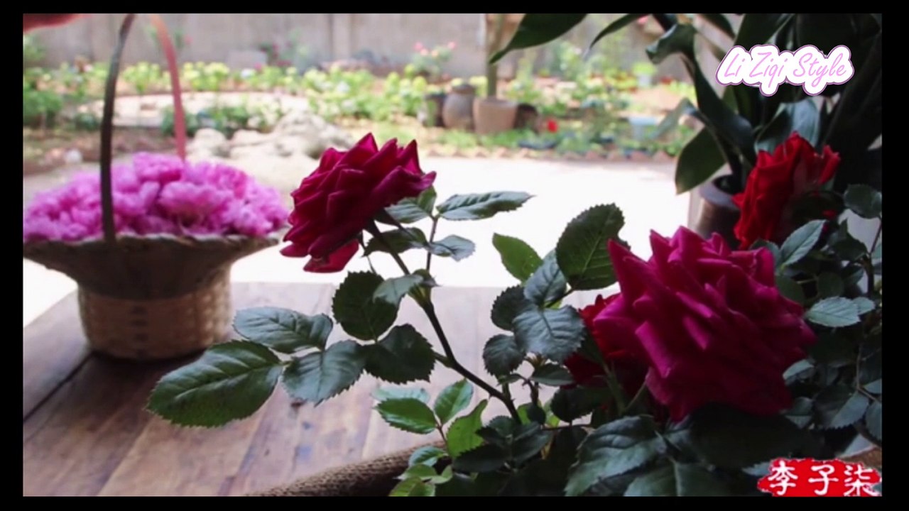 Li Ziqi 李子柒 | Rose jam, rose biscuits and rose tea - The best gift for women!