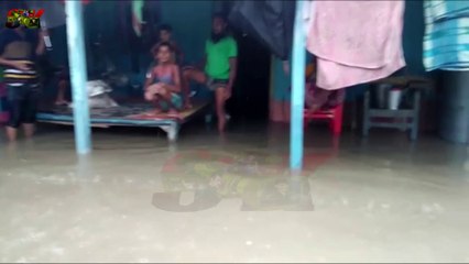 KISHAN GANJ BIHAR FLOOD VERY DANGEROUS IN INDIA