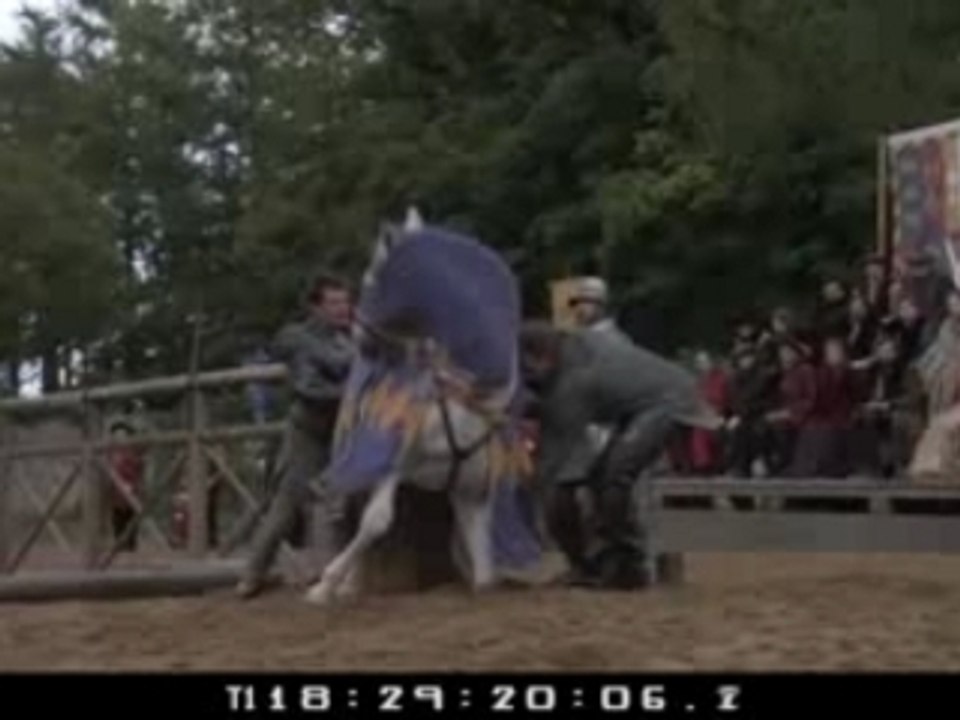 cheval roi du kick boxing