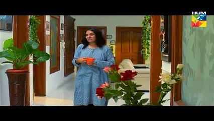 Kitni Girhein Baqi Hain Episode 36  - 13th August 2017