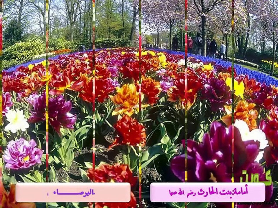 ألقاب الصحابيات مع أحلى نشيد لأبو عابد