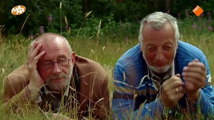 Baardmannetjes [20140822] Texel