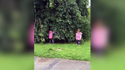 Deux petites filles font une partie de cache-cache !