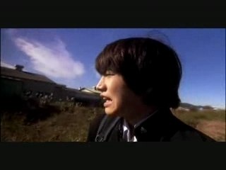 All about lily chou-chou