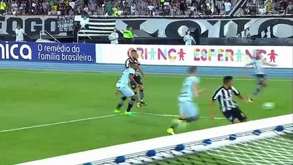 Botafogo vs Grêmio -Highlights HD
