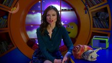 CBeebies Bedtime Stories.s01e366.Sophie Ellis-Bextor - The Snail and the Whale