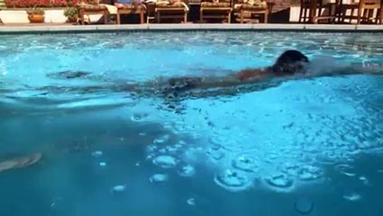 Brothers & Sisters S04E05 Last Tango in Pasadena