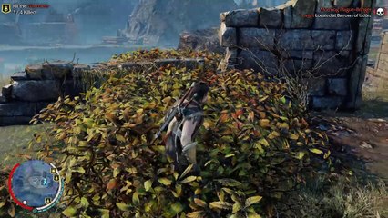 Middle-earth™: Shadow of Mordor™ - Game of the Year Edition_20170809203332