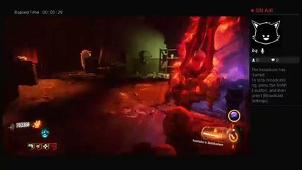 Shadows of Evil High round attempt (3)