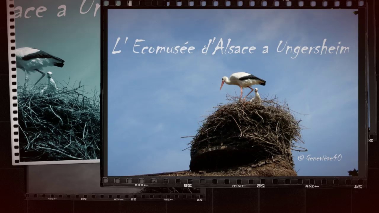 L 'Ecomusée d 'Alsace a Ungersheim  ( 68 ) - HD 720p