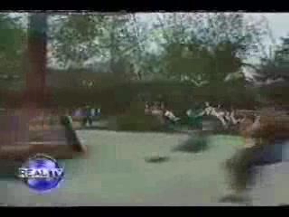 Crash_manege