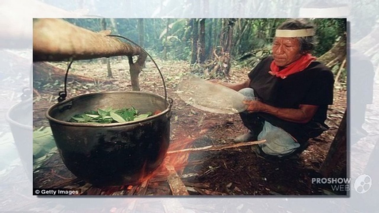 The Best Healing Retreat of Ayahuasca in Colorado video Dailymotion