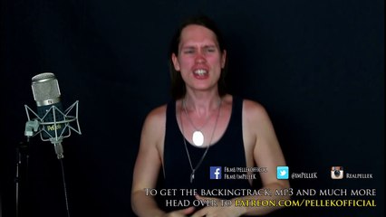 CELINE DION MY HEART WILL GO ON (Metal Cover)