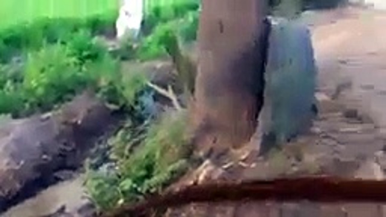 Bio Gas Plant, free gas, free electricity and free fertilizers for your crops