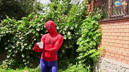 Frozen Elsa Stupid w\ Spiderman, Joker & Maleficent in Real Life