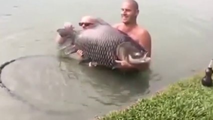 Hilarious Moment When Giant Carp Slaps British Man In The Face