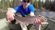 Fly Fishing for Kamloops Rainbow Trout