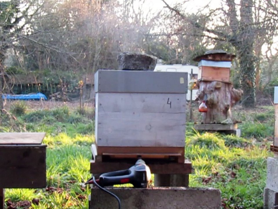 Traitement d'hiver contre Varroa 3