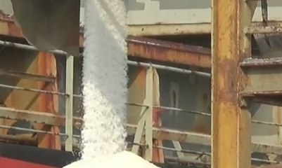 27.500 Ton Garam Impor Tiba di Pelabuhan Tanjung Perak