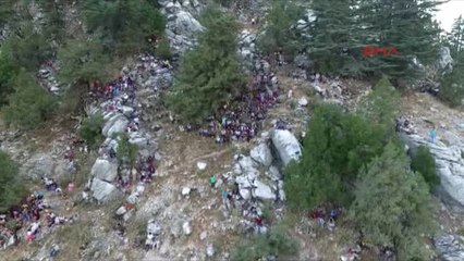 Antalya Güreşen Boğalar Tel Örgüleri Aştı, İzleyiciler Kaçıştı