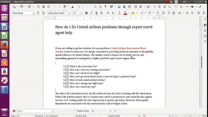 How work Travel agent for United Airlines issues