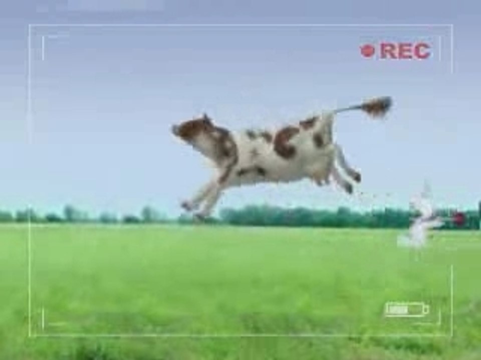 Bunnies_cant_milk_cows
