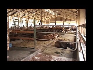 (Taoyakaibs) odekake Mike Lots of cute animals and nature Mie Prefecture Yokkaichi Fureai ranch