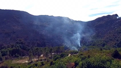 Paysages lunaires à Olcani après les incendies du Cap Corse