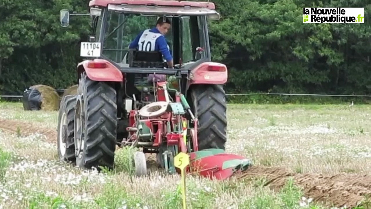 VIDEO (41 ). Concours de labour du canton de Lamotte-Salbris
