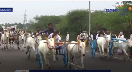 கிருஷ்ண ஜெயந்தியை முன்னிட்டு மாட்டுவண்டி பந்தயம்-வீடியோ
