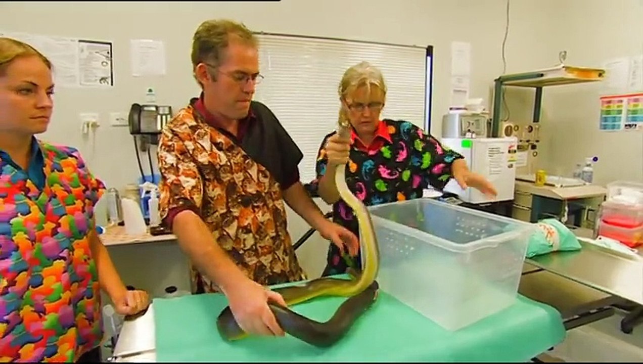 Outback Wildlife Rescue Episode 11