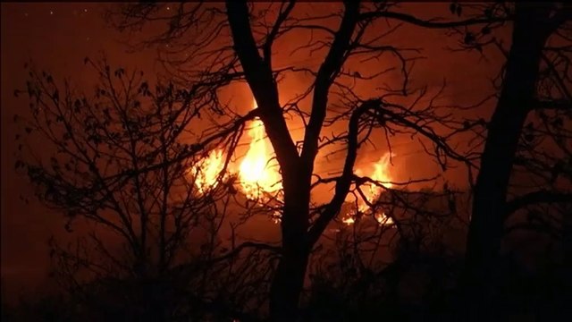 Grèce : un incendie dévastateur aux portes d'Athènes