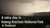 A rainy day in Kaeng Krachan National Park