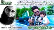 DIL DIL PAKISTAN by Farhan Ali Waris - Independence Day 2017.