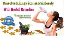 Dissolve Kidney Stones Painlessly With Herbal Remedies