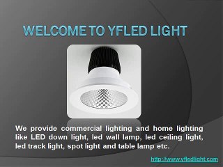 The LED Lighting Supplier in China