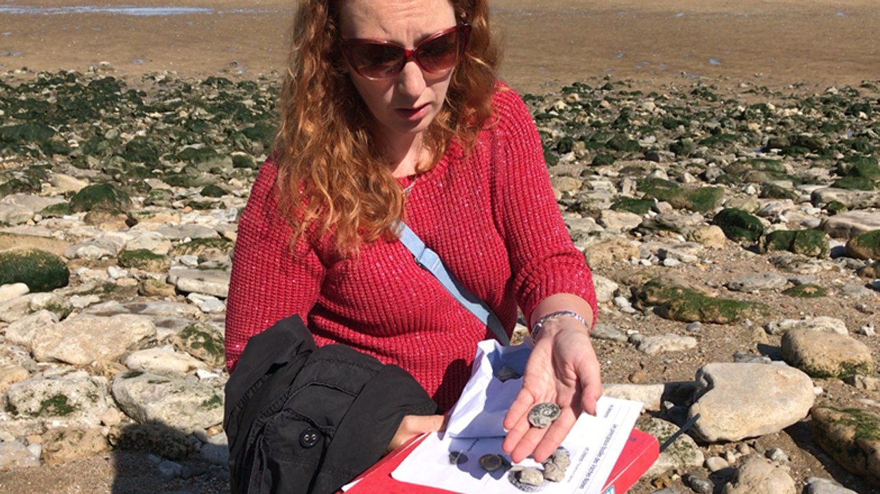 À la recherche des fossiles aux Vaches noires